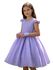 Vestido Curto Lilás Princesa Rapunzel Sofia Lilás Aniversário