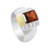 Anel Masculino em Prata 950 com Pedra cor Granada - AN13074