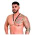 Arreio Harness Anthony (EX208-EX207) - Preta