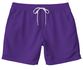 Short Tactel Masculino Cós Elástico Várias Cores Roxo