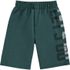 Bermuda Kyly Moletinho Infantil Masculina 10 ao 16 Verde