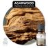 Óleo Essencial Agarwood (Oud) - Aquilaria malaccensis 50ML