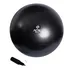 Gym Ball 65cm Preta - Acte