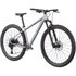 Bicicleta Rockhopper Expert 29 2021 Prata Holográfico Tam-M
