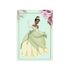 Capa Painel Retangular Sublimado Tema Princesa Tiana 4054