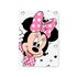 Capa Painel Retangular Sublimado Tema Minnie 268