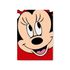 Capa Painel Retangular Sublimado Tema Minnie 484