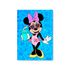 Capa Painel Retangular Sublimado Tema Minnie Pool Party 668