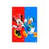 Capa Painel Retangular Sublimado Tema Minnie 669