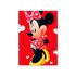 Capa Painel Retangular Sublimado Tema Minnie 671