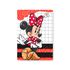 Capa Painel Retangular Sublimado Tema Minnie 672