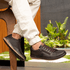 Sapatênis Casual Masculino Zíper Lateral Start Pedway Marrom