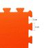 Placa EVA Tatame 100 x 100 x 1cm