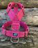 Peitoral universal premium rosa liso