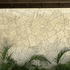 Moledo Roma Flat Orgânica