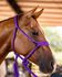 CABRESTO BOOTS HORSE - COM CABO TRANCADO DE PARACORD - ROXO