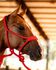 CABRESTO BOOTS HORSE - COM CABO TRANCADO DE PARACORD - VERMELHO