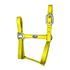 Cabresto Silicone - Amarelo Boost Horse 