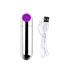 Capsula Vibratória Metalizada Recarregável