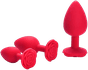 Plug Anal Em Silicone Rosa M