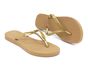 Chinelo Rio Colcci Ouro REF. 0928.09901
