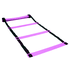 Escada Agilidade Profissional Roxo - Consport 