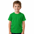 Camiseta Infantil Verde Bandeira