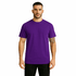 Camiseta Tradicional Roxo