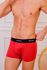 Cueca Microfibra Boxer Divino