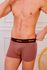 Cueca Microfibra Boxer Telha