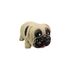 DOG ESTICA DIVERTIDO - PUG - fidget toys