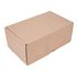 CAIXA ENVIO KRAFT 250X150X100 - 10 UNIDADES