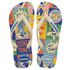 Chinelo Havaianas Top warner Classics