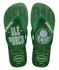 Chinelo Havaianas Top Times-Verde