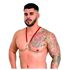 Arreio Harness Anthony (EX208-EX207) - Vermelho