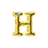 Letras Para Personalização Dourada (HA180D) - H