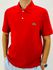GOLA POLO LACOSTE 