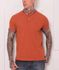 Camiseta Tommy Hilfiger - Gola Retilinea Tricolor 