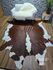 Formato bovino hereford