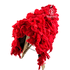 Cochinilho Coqueiro - Vermelho