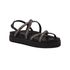 Birken Le Morne Preto