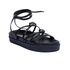 Birken Moorea Preto