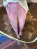 Calça Alfaiataria Cenoura Zíper - Rosa Bebê 