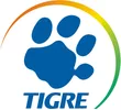 PINCEIS TIGRE