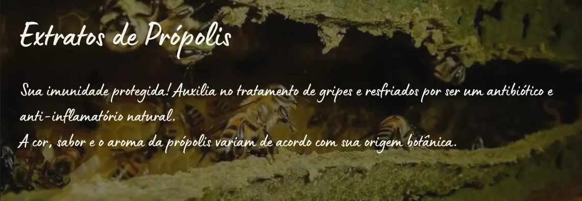 Extratos de Própolis 