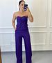 Conjunto Alfaiataria Paris Roxo