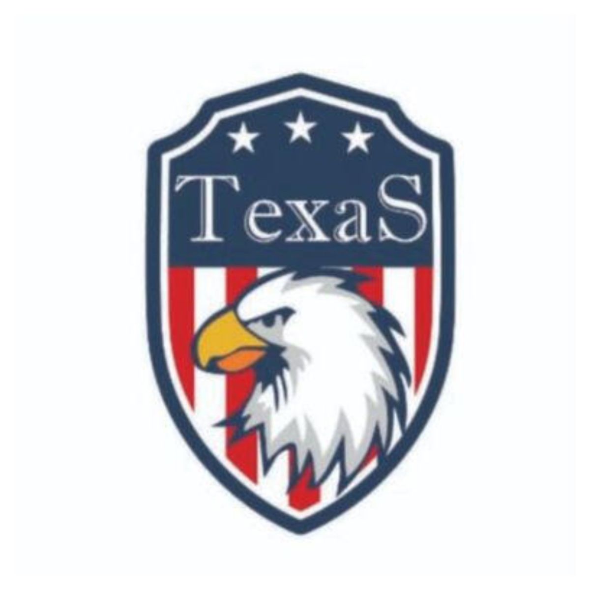Adesivo Bordado para Chapéu auto colante Texas - 2... - CLUB 21 COUNTRY