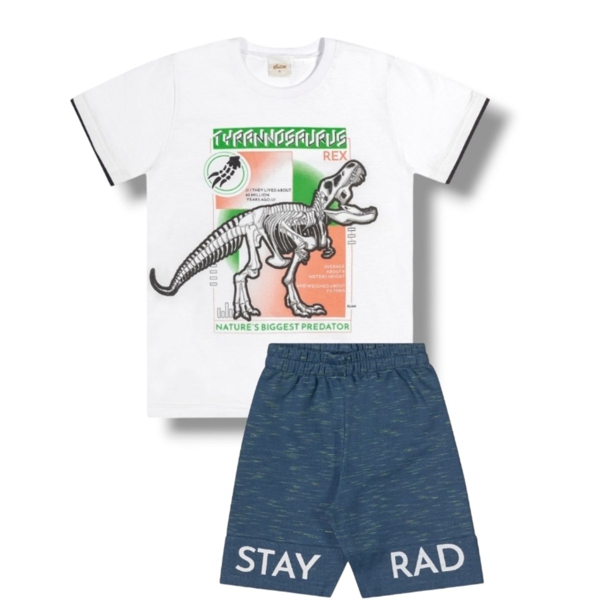 Conjunto Infantil Camiseta e Bermuda Moletinho Din - Fátima Modas