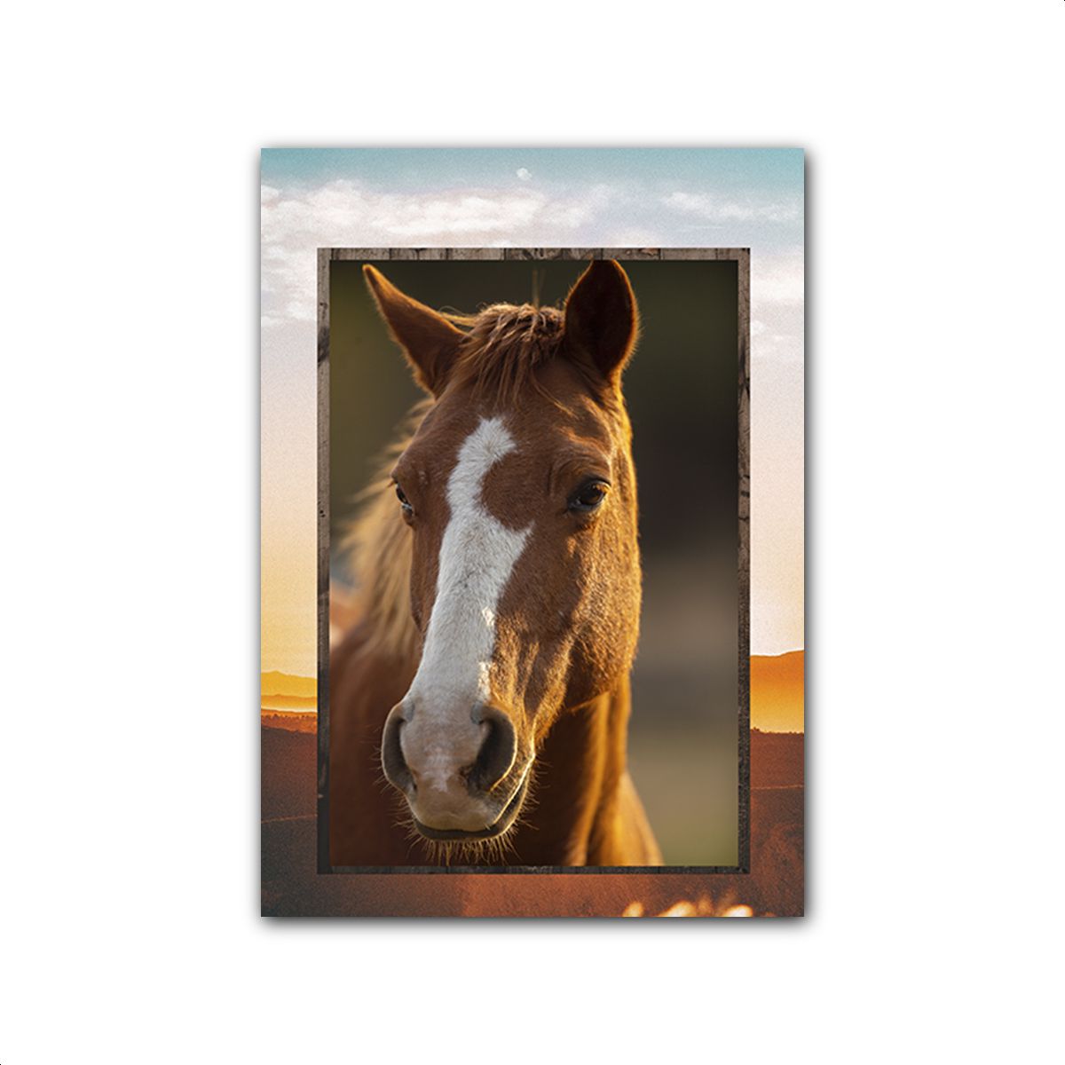 Capa Painel Retangular Sublimado Tema Cavalo 3103 ... - Painel Festivo