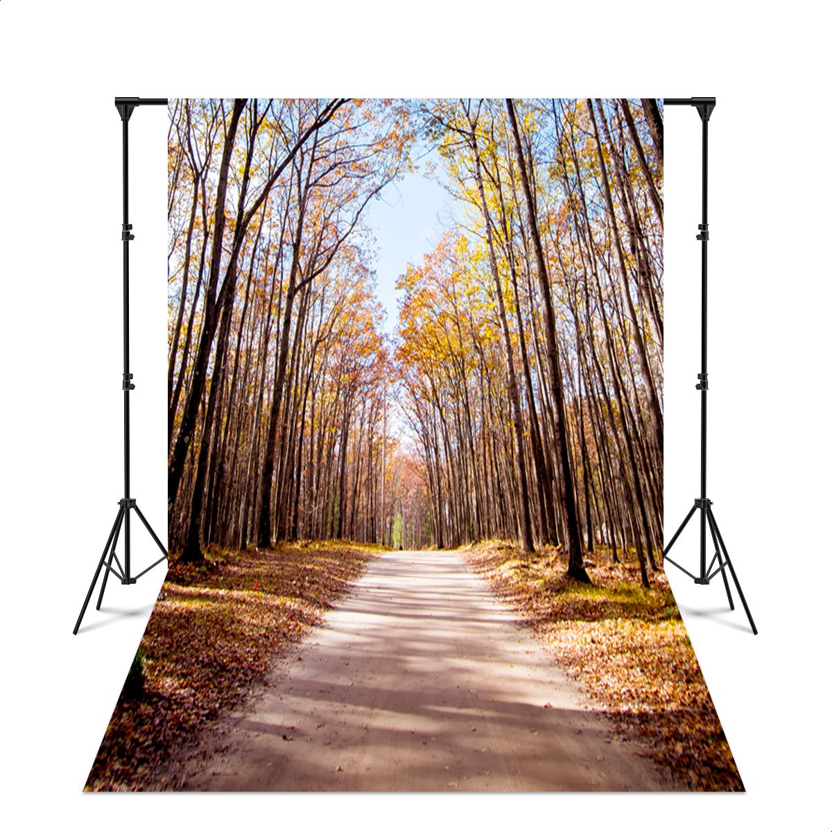 Fundo Fotográfico 3D Subl... - Painel Festivo